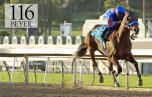 Game On Dude wins the Santa Anita Handicap Game On Dude wins the Santa Anita Handicap